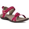 Cherries Jubilee/Chocolate Brown