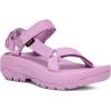 Lupine